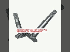 Transmisión del eje no vertical para el motor Greatwall